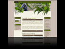 Thumbnail Goin Wild Minisite Template and Wordpress Theme 3 Pack