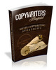 Thumbnail The Copywriters Blueprint: Instant Copywriting Mastery (MRR)