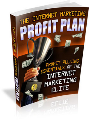 Product picture The Internet Marketing Profit Plan (MRR)
