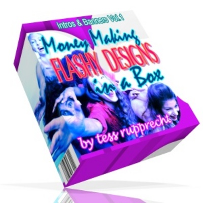 Product picture Money Making Flashy Designs in a Box  (MRR)