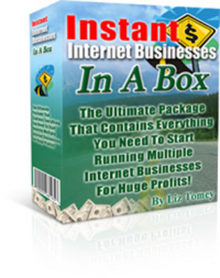 Product picture The Instant Internet Business In A Box (MRR)