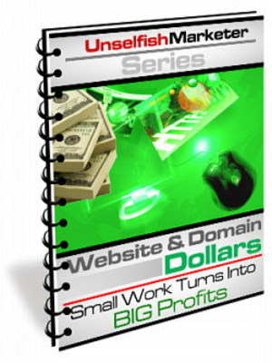 Product picture Website & Domain Dollars (MRR)