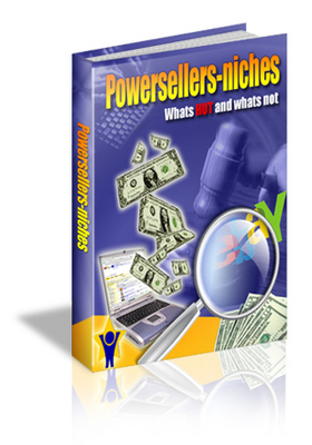Product picture PowerSeller-Niches  (MRR)
