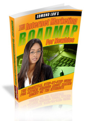 Product picture Internet Marketing Roadmap for Newbies  (MRR)