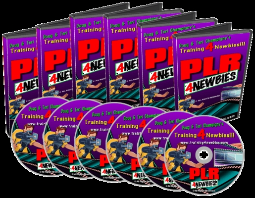 Product picture PLR For Newbies Videos: Products From PLR Resources (MRR)