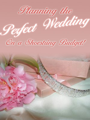 Product picture Throw a Dream Wedding on a Shoestring Budget  (PLR)